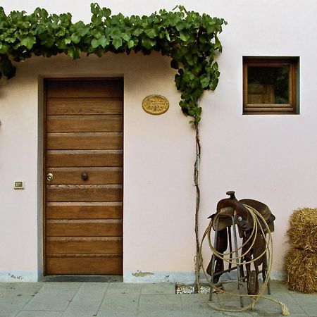 Appartamenti Agriturismo La Canonica Certaldo Exteriér fotografie